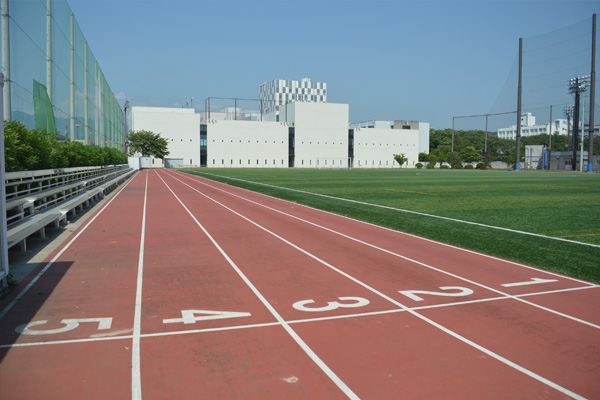 Soccer & Rugby Field and Track